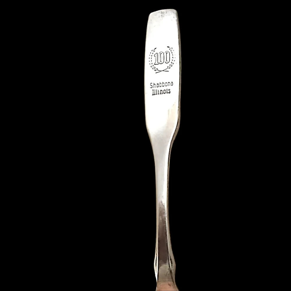 Vintage Oneida Silver Shabona Illinois Plated Spoon - Picture 3 of 3